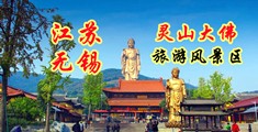 五月丁香色图江苏无锡灵山大佛旅游风景区